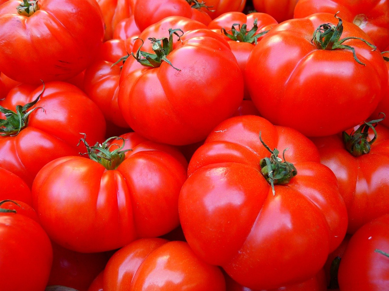 Odmiany pomidorów – na jakiej zasadzie je wyróżniamy?