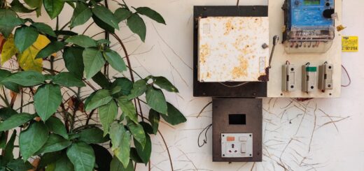 a wall with a phone and a plant next to it